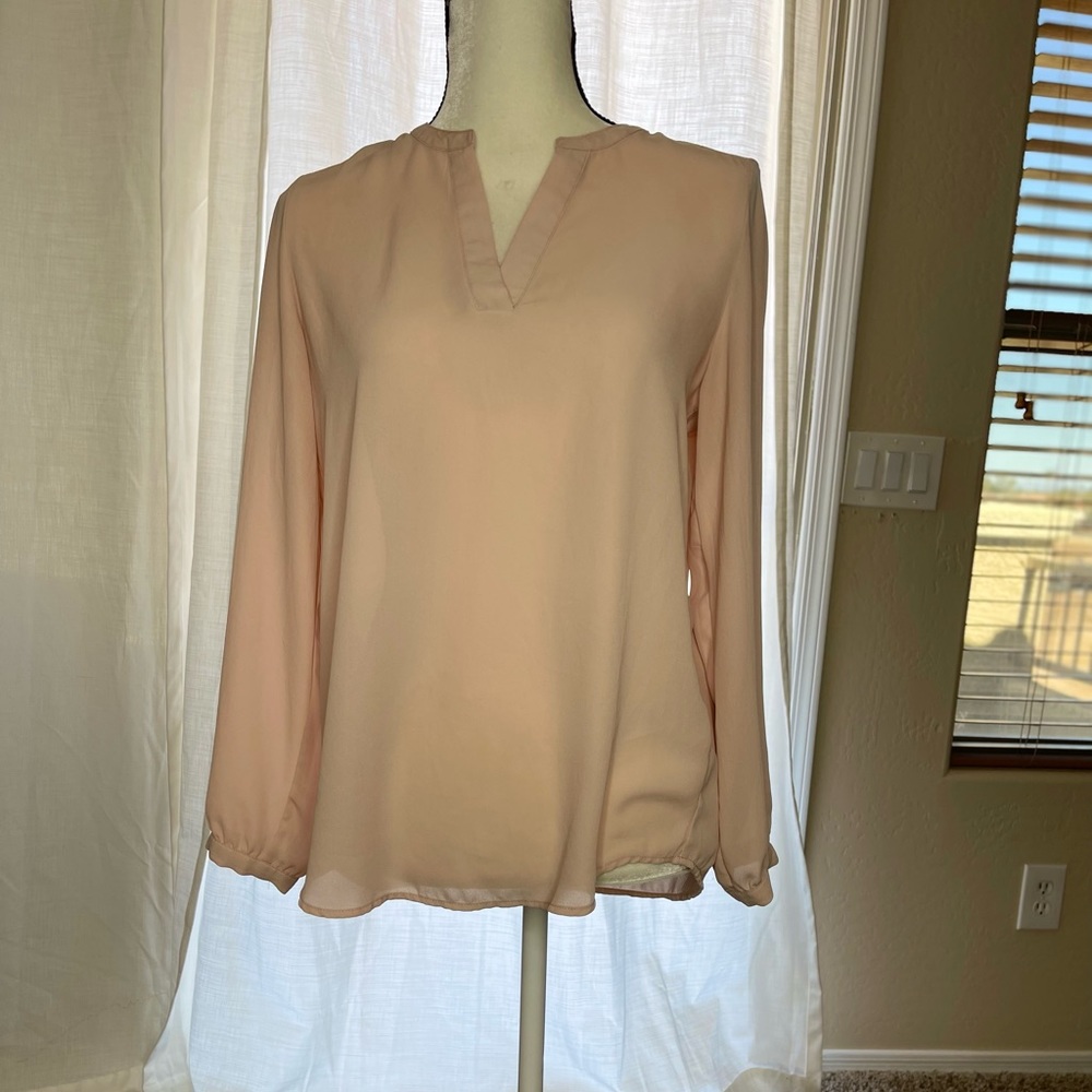 Pink sheer woman’s blouse